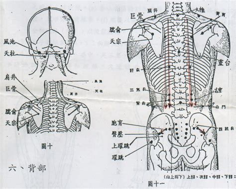 穴道龍筋位置